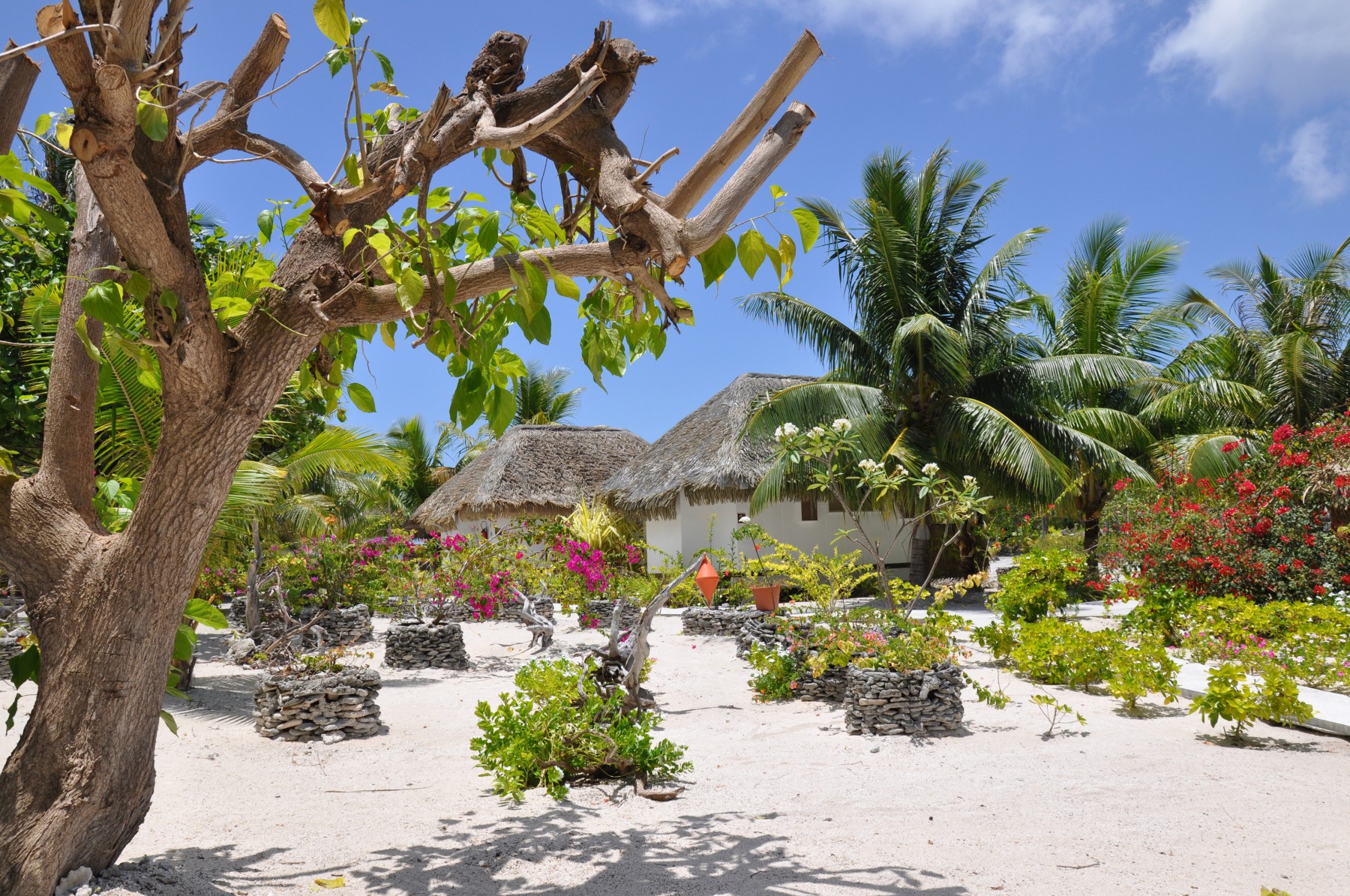 Pension Tikehau Paradise